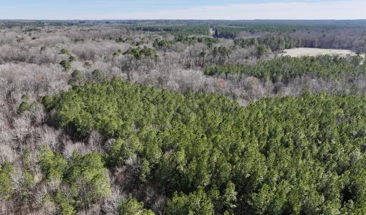 Photo #9 of SOLD property in Off SR 1344, Littleton, NC 5.1 acres
