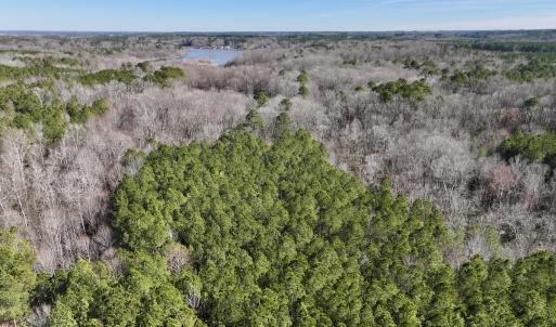 Photo #10 of SOLD property in Off SR 1344, Littleton, NC 5.1 acres