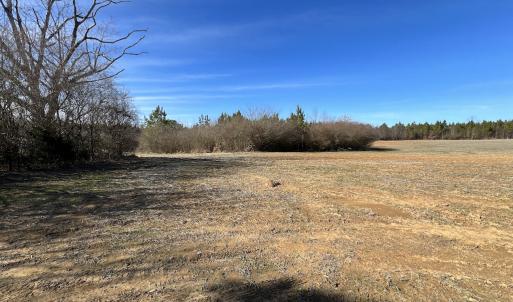 Photo #13 of SOLD property in Off Savage Road, Spring Hope, NC 1.5 acres