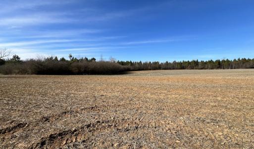 Photo #16 of SOLD property in Off Savage Road, Spring Hope, NC 1.5 acres