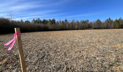 Photo #17 of SOLD property in Off Savage Road, Spring Hope, NC 1.5 acres