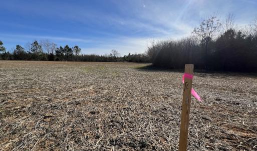 Photo #18 of SOLD property in Off Savage Road, Spring Hope, NC 1.5 acres