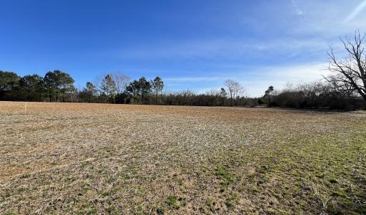 Photo #19 of SOLD property in Off Savage Road, Spring Hope, NC 1.5 acres