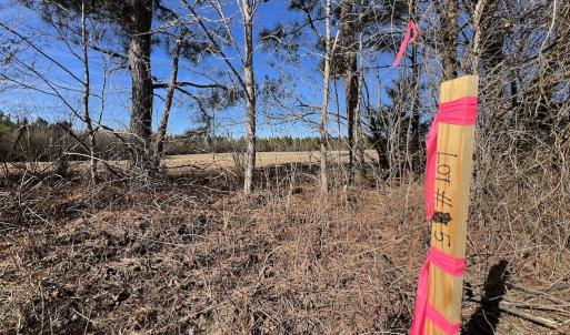 Photo #21 of SOLD property in Off Savage Road, Spring Hope, NC 1.5 acres