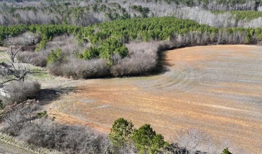 Photo #3 of SOLD property in Off Savage Road, Spring Hope, NC 1.5 acres