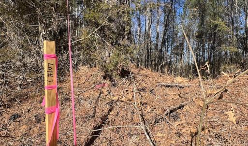 Photo #18 of SOLD property in 01 Savage Road, Spring Hope, NC 2.5 acres