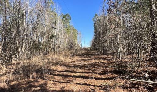 Photo #19 of SOLD property in 01 Savage Road, Spring Hope, NC 2.5 acres