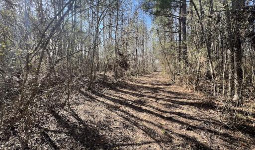 Photo #20 of SOLD property in 01 Savage Road, Spring Hope, NC 2.5 acres
