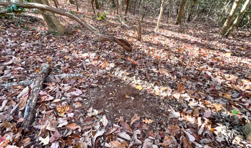 Photo #9 of SOLD property in Off Old Tipers Road, Heathsville, VA 3.0 acres