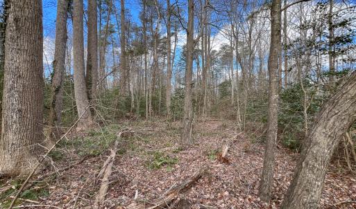 Photo #11 of SOLD property in Off Old Tipers Road, Heathsville, VA 3.0 acres