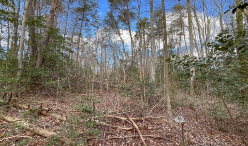 Photo #12 of SOLD property in Off Old Tipers Road, Heathsville, VA 3.0 acres
