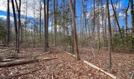 Photo #14 of SOLD property in Off Old Tipers Road, Heathsville, VA 3.0 acres