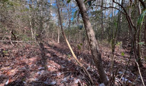 Photo #17 of SOLD property in Off Old Tipers Road, Heathsville, VA 3.0 acres