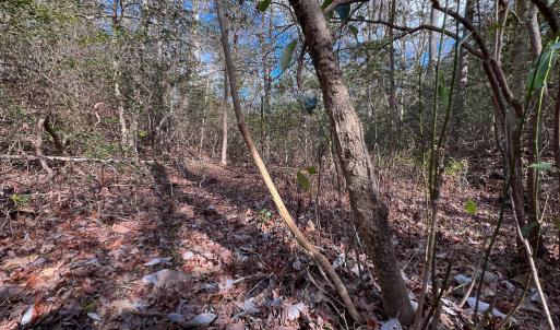 Photo #17 of Off Old Tipers Road, Heathsville, VA 3.0 acres