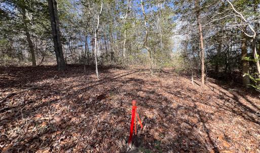 Photo #18 of SOLD property in Off Old Tipers Road, Heathsville, VA 3.0 acres