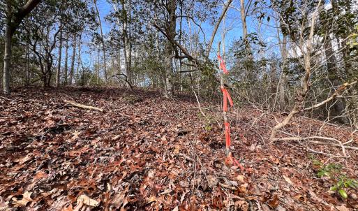 Photo #19 of SOLD property in Off Old Tipers Road, Heathsville, VA 3.0 acres