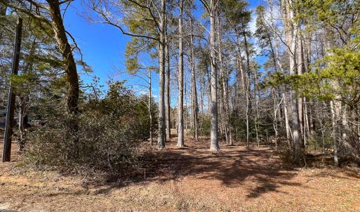 Photo #20 of SOLD property in Off Old Tipers Road, Heathsville, VA 3.0 acres