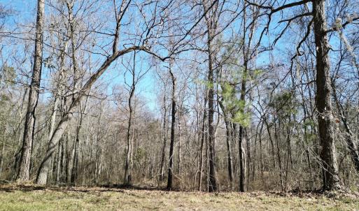 Photo #14 of Off Riverview Drive, Burgaw, NC 1.5 acres