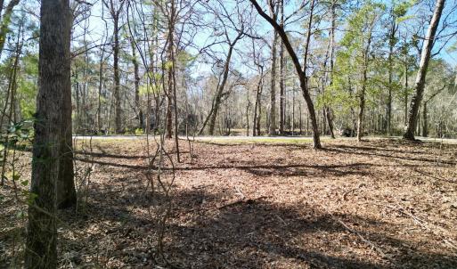 Photo #5 of Off Riverview Drive, Burgaw, NC 1.5 acres