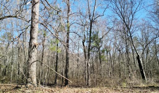 Photo #6 of Off Riverview Drive, Burgaw, NC 1.5 acres