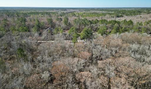 Photo #10 of Off Riverview Drive, Burgaw, NC 1.5 acres