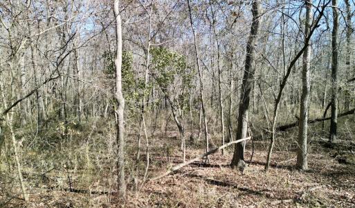 Photo #21 of Off Riverview Drive, Burgaw, NC 1.5 acres