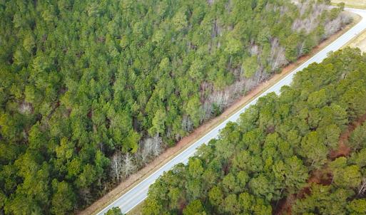 Photo #4 of SOLD property in Off Black Creek Rd, Sedley, VA 36.0 acres