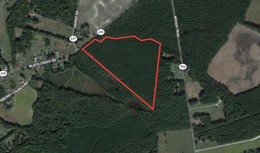 Photo #1 of SOLD property in Off Black Creek Rd, Sedley, VA 37.0 acres