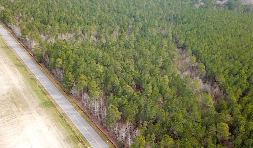 Photo #2 of SOLD property in Off Black Creek Rd, Sedley, VA 37.0 acres