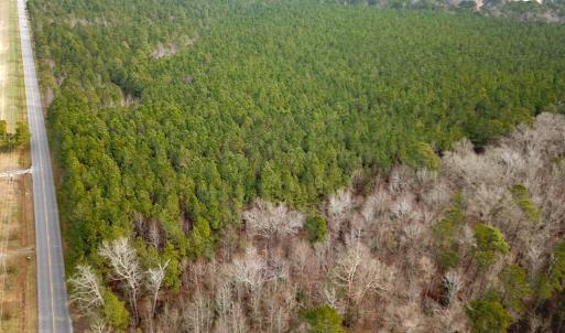 Photo #8 of SOLD property in Off Black Creek Rd, Sedley, VA 37.0 acres