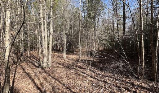 Photo #31 of SOLD property in Off Black Creek Rd, Sedley, VA 37.0 acres