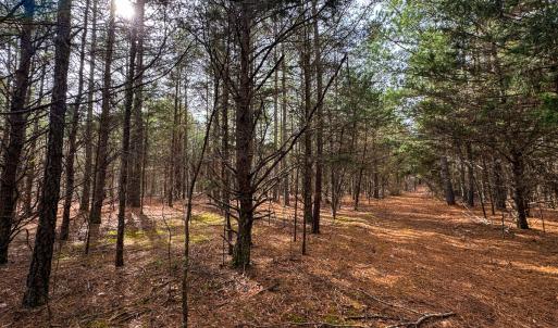 Photo #9 of SOLD property in Off Southern High School Road, Burlington, NC 6.0 acres