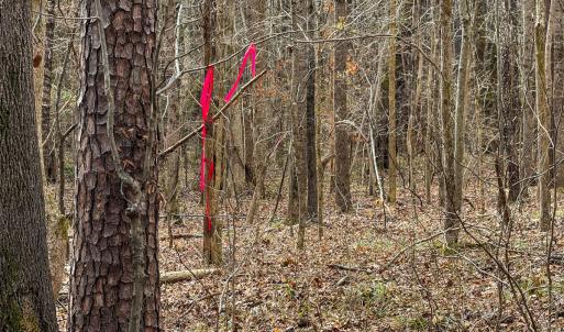 Photo #16 of SOLD property in Off Southern High School Road, Burlington, NC 6.0 acres