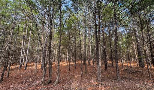 Photo #20 of SOLD property in Off Southern High School Road, Burlington, NC 6.0 acres