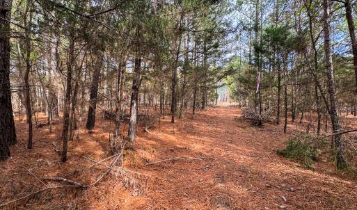 Photo #23 of SOLD property in Off Southern High School Road, Burlington, NC 6.0 acres