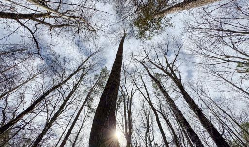 Photo #29 of SOLD property in Off Southern High School Road, Burlington, NC 6.0 acres