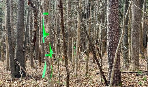 Photo #41 of SOLD property in Off Southern High School Road, Burlington, NC 6.0 acres