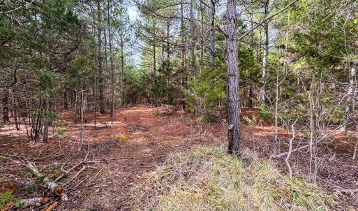 Photo #44 of SOLD property in Off Southern High School Road, Burlington, NC 6.0 acres