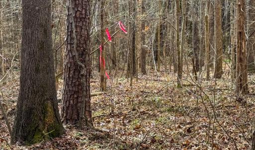 Photo #50 of SOLD property in Off Southern High School Road, Burlington, NC 6.0 acres