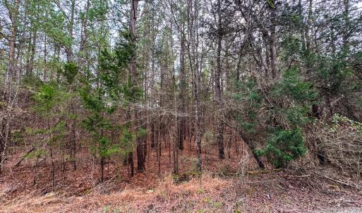 Photo #52 of SOLD property in Off Southern High School Road, Burlington, NC 6.0 acres