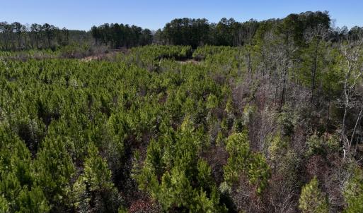 Photo #12 of SOLD property in Off Pine Grove Church Road, Eagle Springs, NC 11.6 acres