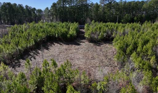 Photo #13 of SOLD property in Off Pine Grove Church Road, Eagle Springs, NC 11.6 acres