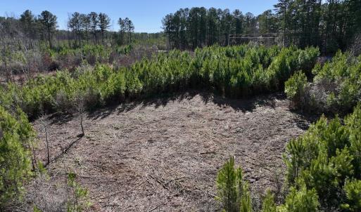 Photo #14 of SOLD property in Off Pine Grove Church Road, Eagle Springs, NC 11.6 acres