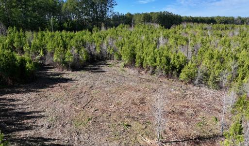 Photo #15 of SOLD property in Off Pine Grove Church Road, Eagle Springs, NC 11.6 acres