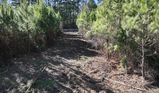 Photo #16 of SOLD property in Off Pine Grove Church Road, Eagle Springs, NC 11.6 acres
