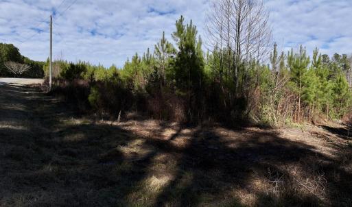 Photo #18 of SOLD property in Off Pine Grove Church Road, Eagle Springs, NC 11.6 acres