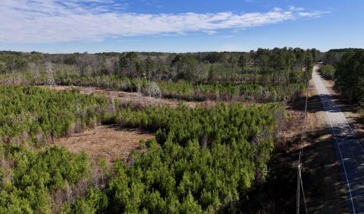Photo #19 of SOLD property in Off Pine Grove Church Road, Eagle Springs, NC 11.6 acres