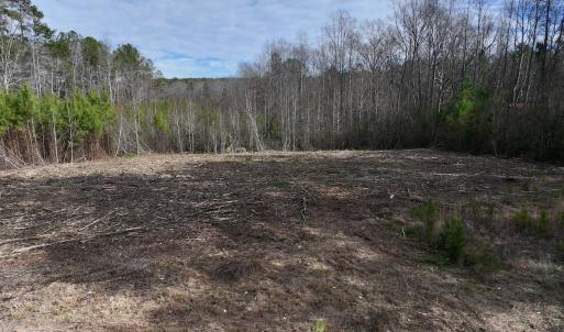 Photo #5 of SOLD property in Off Pine Grove Church Road, Eagle Springs, NC 11.6 acres