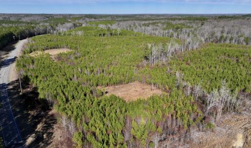 Photo #6 of SOLD property in Off Pine Grove Church Road, Eagle Springs, NC 11.6 acres