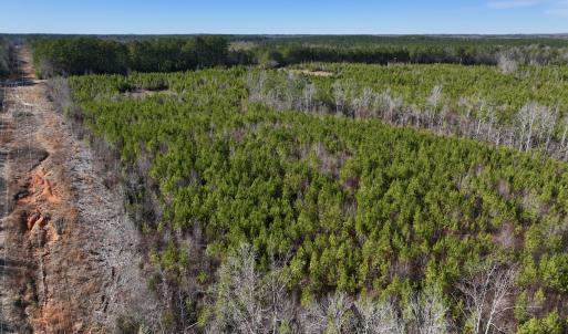 Photo #7 of SOLD property in Off Pine Grove Church Road, Eagle Springs, NC 11.6 acres